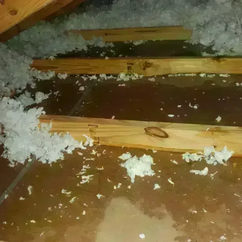 Attic Water Damage in Westworth, TX