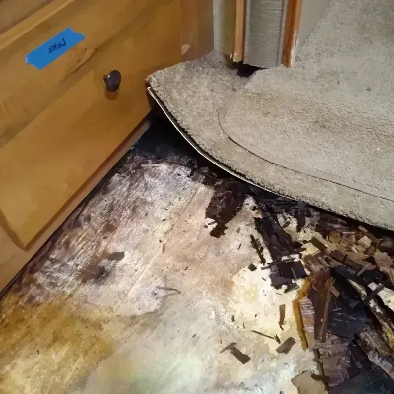 Wood Floor Water Damage in Westworth, TX